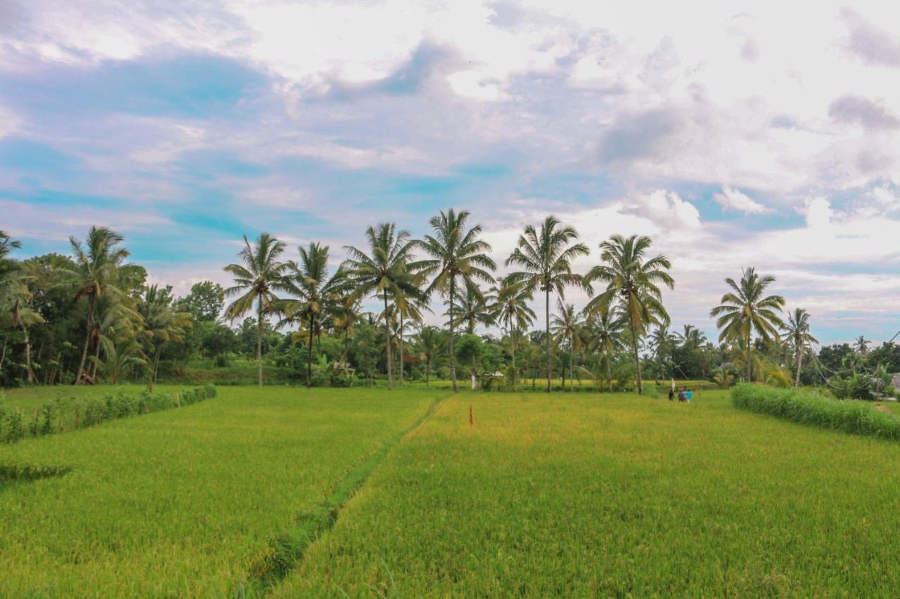Pondok Rinjani Bungalow Tetebatu Exteriör bild